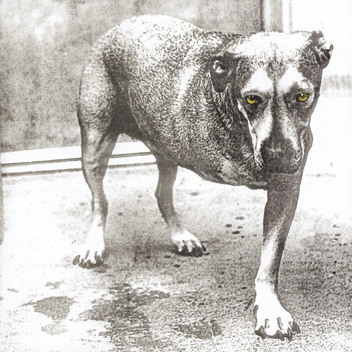 Album Art - Alice in Chains