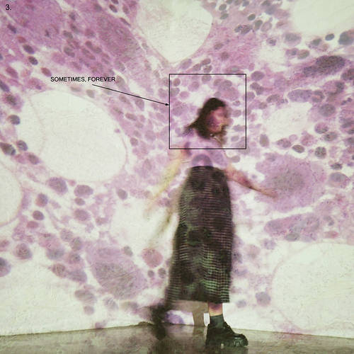 Soccer Mommy - Sometimes, Forever [Indie Exclusive Limited Edition Pink/Black Splatter LP]